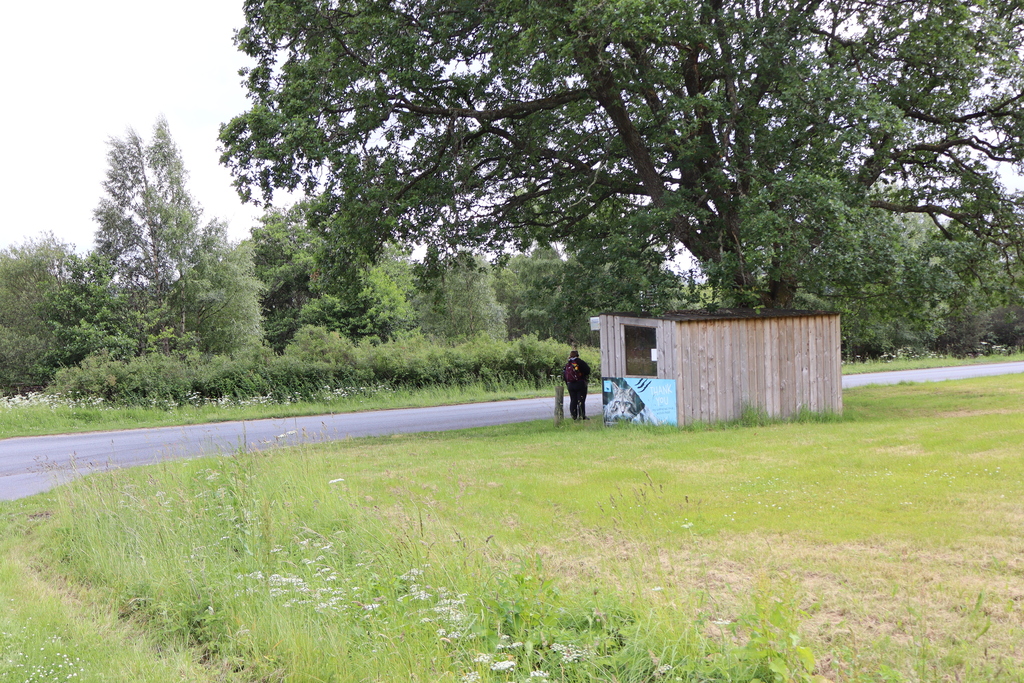 Kincraig Wildlife Park Road End bus stop