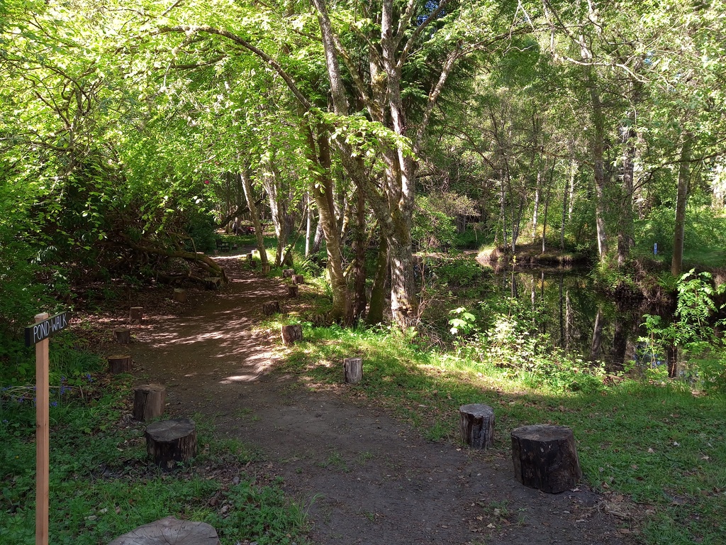 Pond Walk at Estate of Ord, Muir of Ord