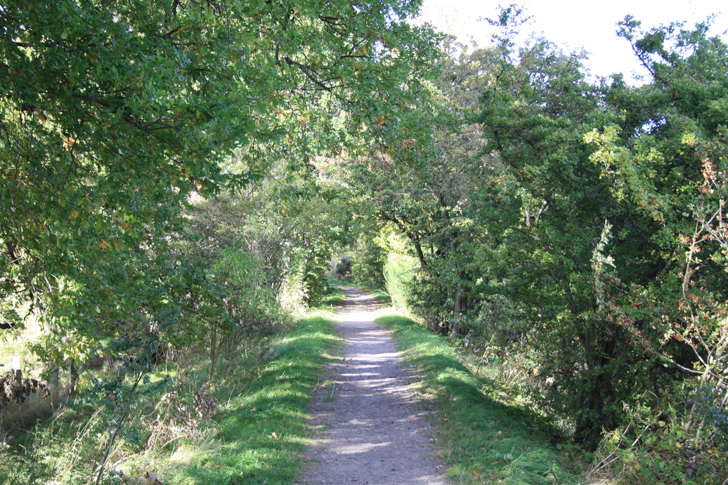 Dingwall Canal Path