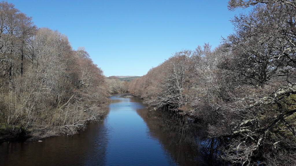 Black Water River north from Garve
