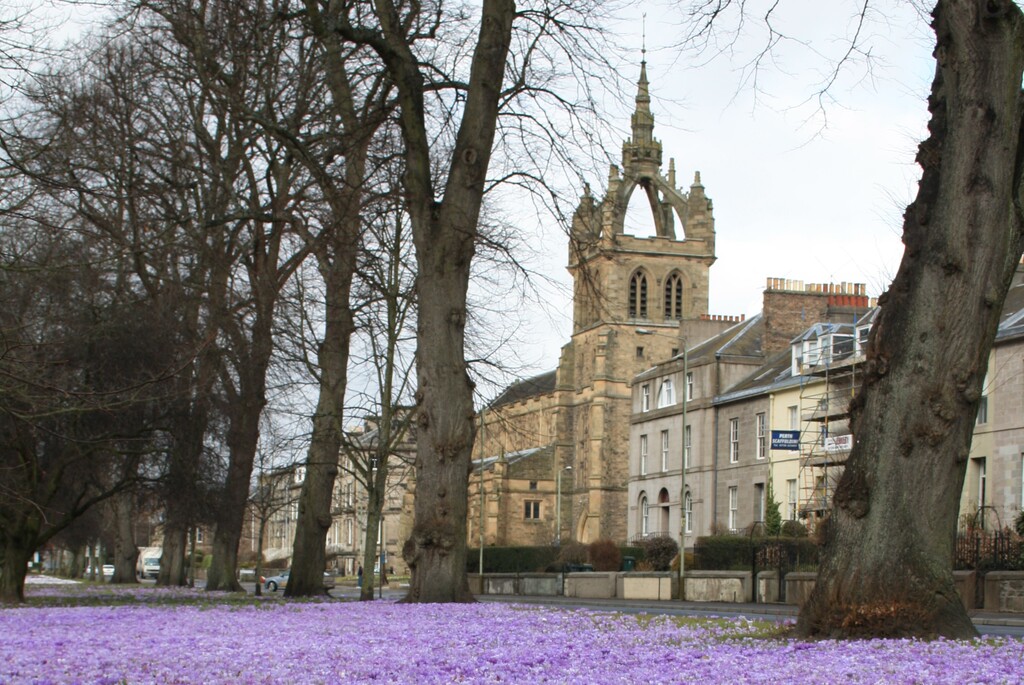 Springtime in South Inch Park