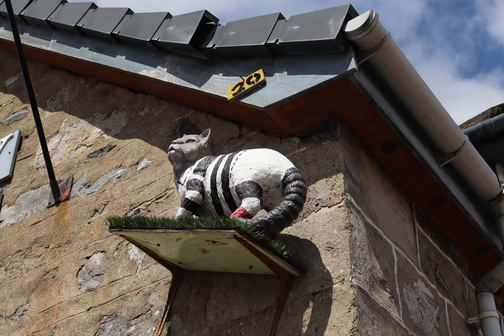 Model from the Wildcat Experience in Newtonmore