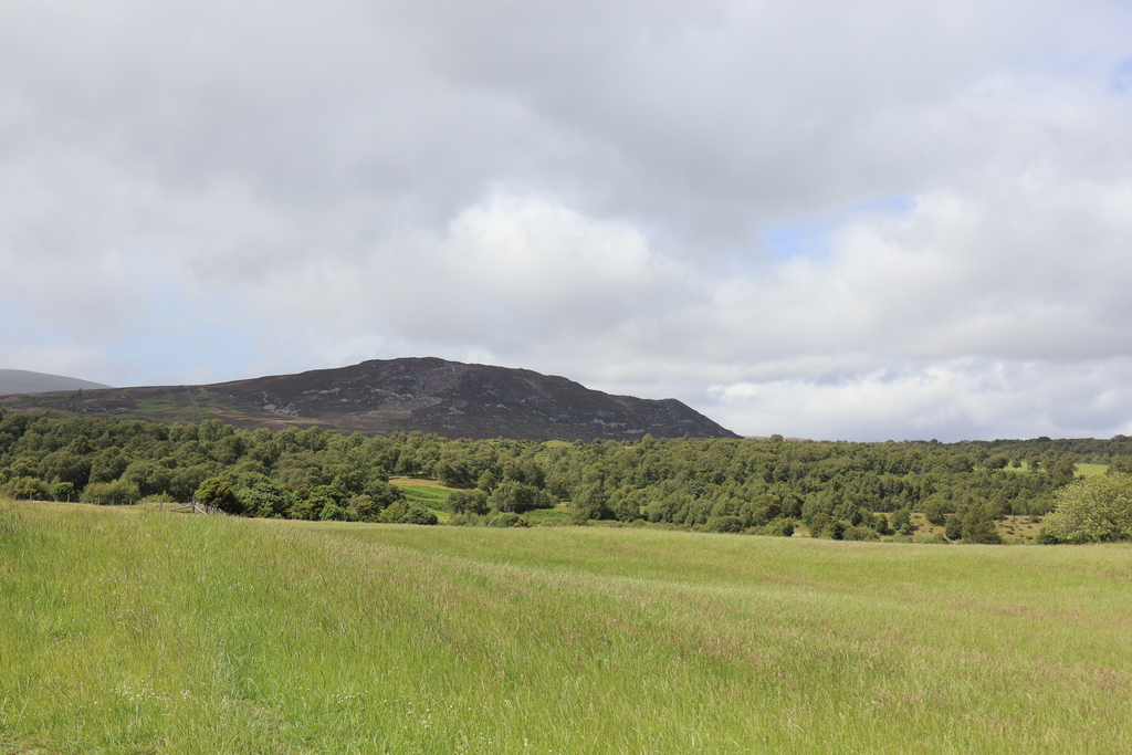 Highland Mainline between Newtonmore and Kingussie
