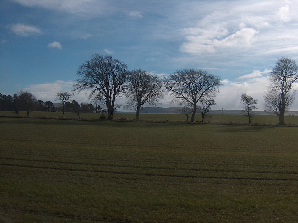 View of farmland from Far North Line