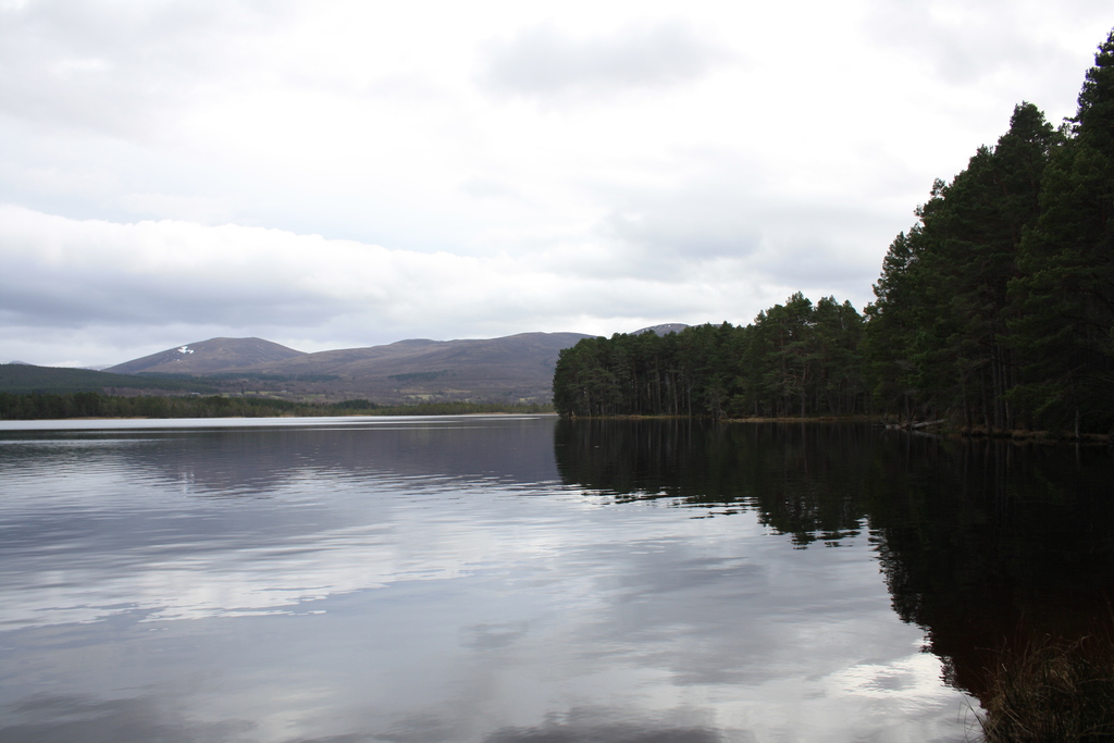 Loch Garten