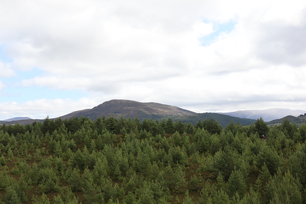 Cairngorm Mountains from the Strathspey Railway