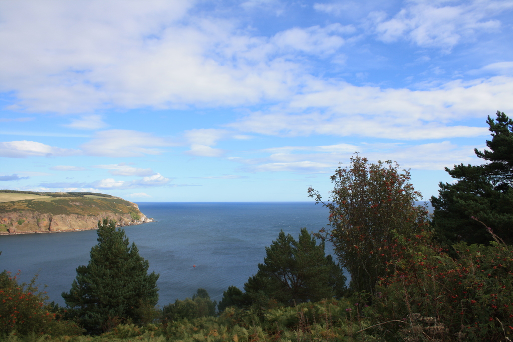 View of Moray Firth from South Sutor, Cromarty