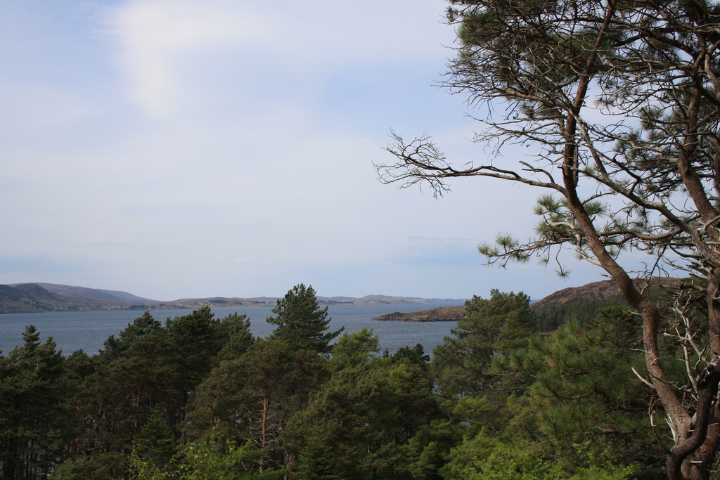 View from Inverewe Garden over Loch Ewe