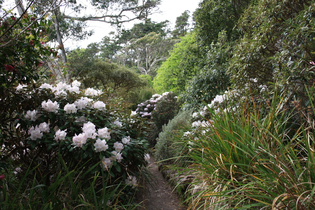 Path at Inverewe Garden