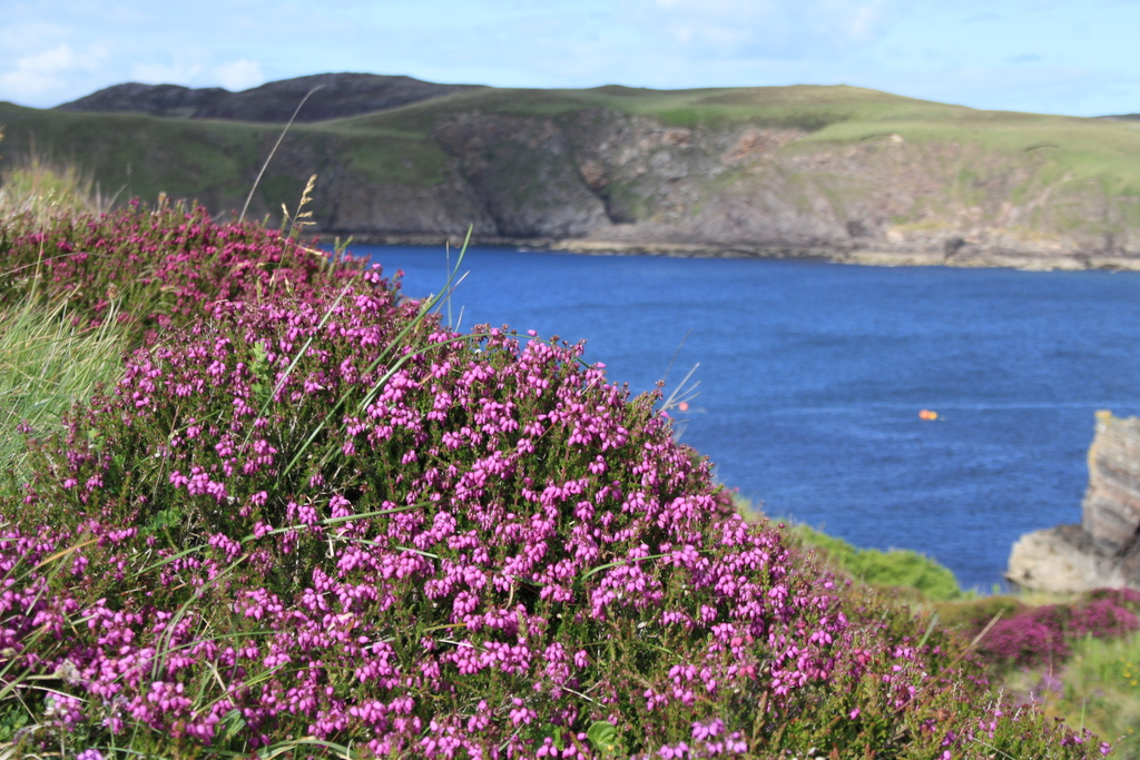 View over Farr Bay Bettyhill