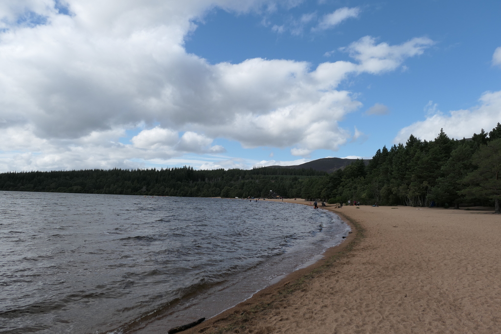 Loch Morlich Beach