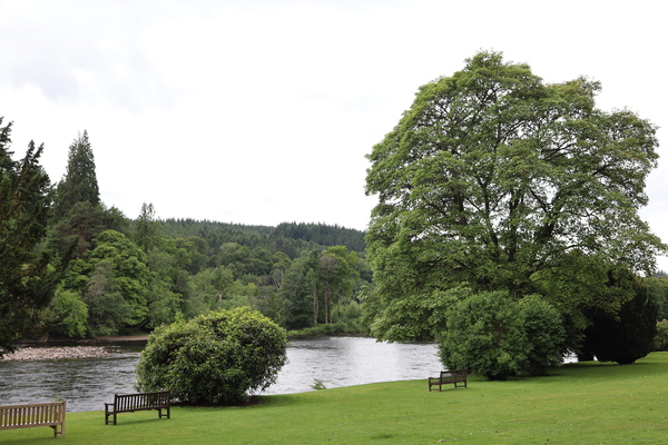View of River Tay from Fiddlers Path Dunkeld